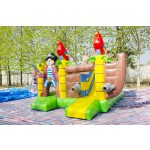 Inflatable Castle Manufacturer - Commercial PVC Bounce House Christmas