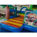 Inflatable Bouncer Manufacturer - Funny Rainbow Lion-Themed Slide