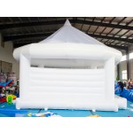 Modern Bouncy Castle Factory - Large Inflatable Combo Wedding Party
