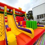 Inflatable Castle Supplier - Customized Large Medium Colorful Design