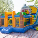 Shark Theme Inflatable Supplier - Big Jumper Castle Modular Bounce