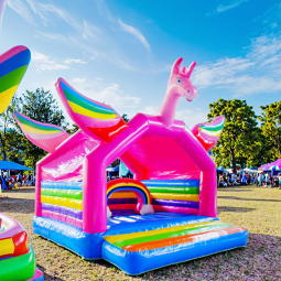 Inflatable Castle Supplier - Small Cartoon Bouncy House Trampoline