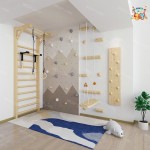 Climbing Wall Manufacturer - Climbing Wall Play Set Indoor Outdoor