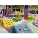 Soft Play Zone Manufacturer - Nature Theme Trees Farm Role Play Ball Pit