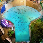 Surfing Wave Simulator Factory - Outdoor Family Amusement Pool Machine