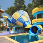 Water Slide Factory - Commercial Big Typhon Shaped for Adult