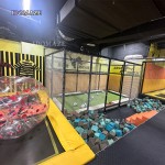 Kids Play Trampoline Supplier - Kids Play Trampoline Park Adult
