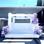 Commercial Giant Supplier - Commercial Giant Kids Amusement Park