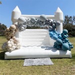 Commercial Giant Supplier - Commercial Giant Kids Amusement Park