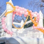 Commercial Giant Supplier - Commercial Giant Kids Amusement Park