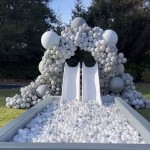 Kids Birthday Manufacturer - Kids Birthday Party Rental Large