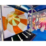 Japanese Playground Manufacturer - Japanese Style Aesthetics Fiberglass