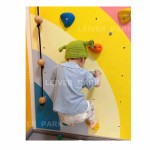 Climbing Wall Manufacturer - Factory Wholesale 9 in 1