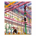 Ninja Warrior Course Manufacturer - Commercial High Altitude Obstacle