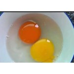 Natural Plant Marigold Extract That Changes the Color of Egg Yolk