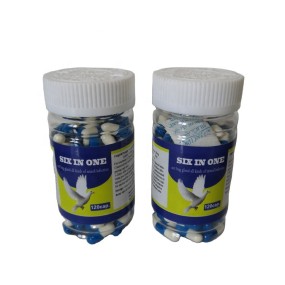 Six in One Immune Booster Supplements for Birds Premium Pigeon Chicken Feed Additives