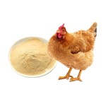 Multivitamin Weight Gain Protein Booster Powder Feed Additives for Broiler Chicken