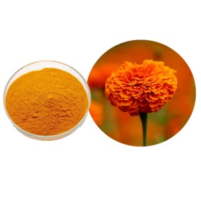 Lutein Natural Pigment Plant Extract Hay-Based Animal Feed Additive for Enhanced Egg Yolk Color