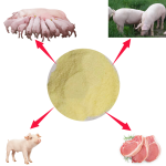 Breeding Sow Swine Pig Meat Piglet Hog Animal Food Feed Additives