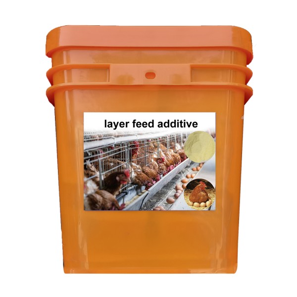 Increase Egg Production Rate Reduce Cost Improve Resistance Chicken Feed Product