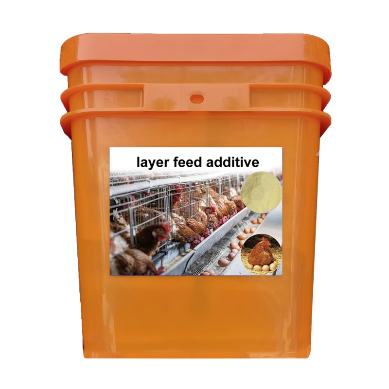 Increase Egg Production Rate Reduce Cost Improve Resistance Chicken Feed Product