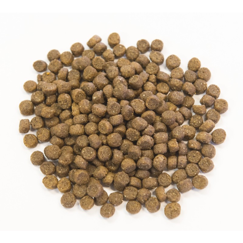 Customizable High-protein Multi Nutrient Floating Tilapia Feed