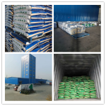 Tilapia Fish Feed