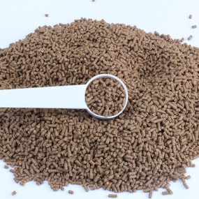 Tilapia Fish Feed