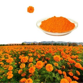 Natural Marigold Lutein Extract for Laying Hens Egg Yolks Color Yellower Animal Feed Additive Packaged in Bag