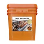 Dried Starter Grower Chicken Feed Additive Powder Form Animal Feed Combined with Soybean Meal