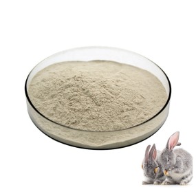 Excellently Formulated Multivitamin Powder for Meat Rabbit