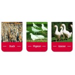 High Quality Premix Concentrates Best Hot Sale Special Feeds for Ducks Chickens Pigs Vitamins Included Low Price