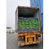 Shijiazhuang Roc Cattle Import And Export Trading Co., Ltd.