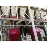 Trusted Pig Feed Factories Offer Premix Feed Additive for Small Grower Pig Fattening Optimal for Animal Use