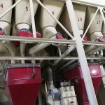 High Nutrition Rapid Weight Gain to Promote Pig Fattening Additive
