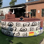 Mechanical Bull Factory - China Factory Mechanical Electrical Rodeo