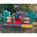 Amusement Park Supplier - Amusement Park Ride Bull Rodeo Game