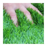 Transferable Grass Manufacturer - Transferable Use Cheap Synthetic