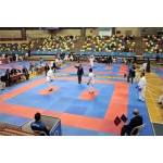 Puzzle Mat Manufacturer - High Quality Puzzle Martial Arts Mat