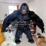 Plush Walking Supplier - Cartoon Characters Costume Plush Walking