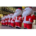 Christmas Theme Manufacturer - Christmas Theme Adults Size Inflatable