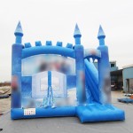 Jumping Castle Supplier - New Design Combo Blow up Bounce House