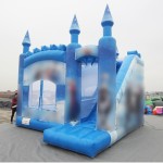 Jumping Castle Supplier - New Design Combo Blow up Bounce House