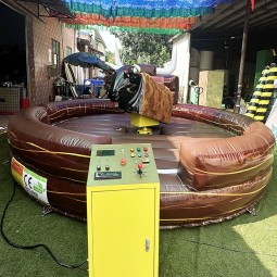 Mechanical Bull Factory - China Factory Mechanical Electrical Rodeo