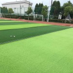 Trust Grass Factory - Guangzhou Trust Eco-friendly Good Quality