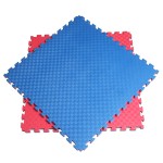 Foam Mat Supplier - 100x100x3cm Foam Taekwondo Mat Tatami