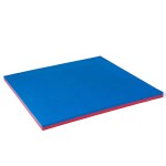 Two Color Supplier - Two Color Karate Tatami Mattress Eva