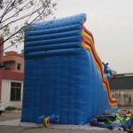 Ocean Wave Supplier - Ocean Wave New Style Kids Adult Size