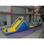 Playground Slide Manufacturer - Custom Attractive Outdoor Giant