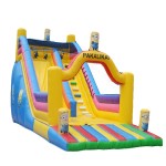 Summer Water Slide Manufacturer - Giant Hot Inflatable Water Slide